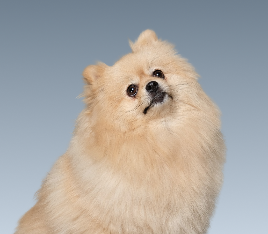 Кристофер-Робин